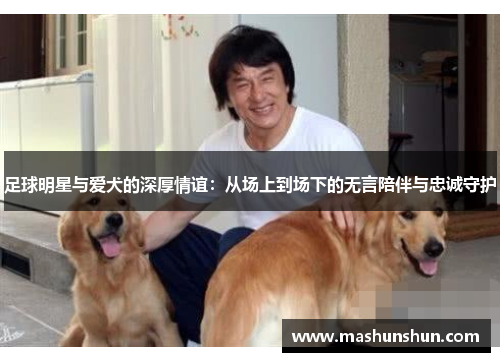 足球明星与爱犬的深厚情谊：从场上到场下的无言陪伴与忠诚守护