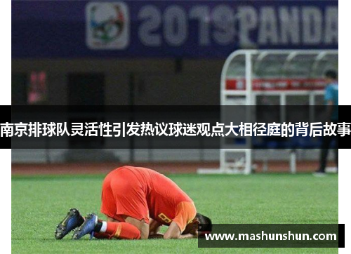 南京排球队灵活性引发热议球迷观点大相径庭的背后故事