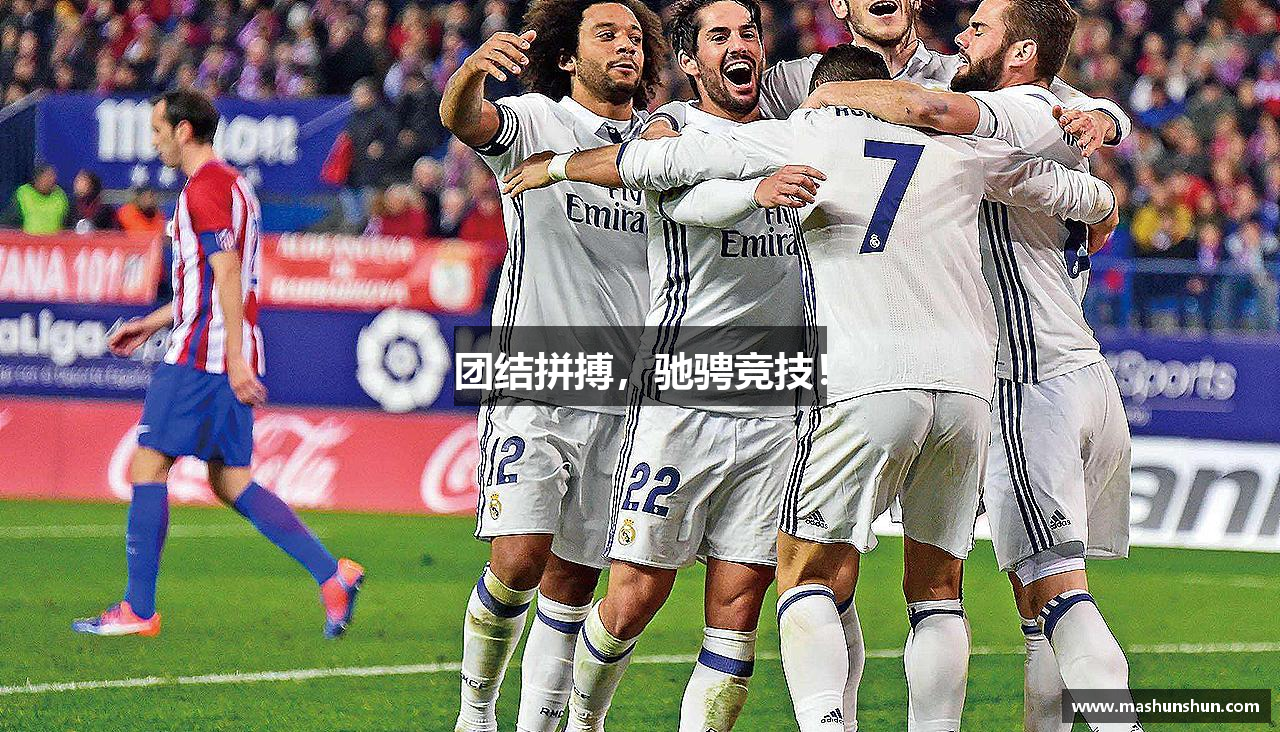 团结拼搏，驰骋竞技！